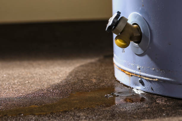 Best Carpet water damage restoration  in Crockett, TX