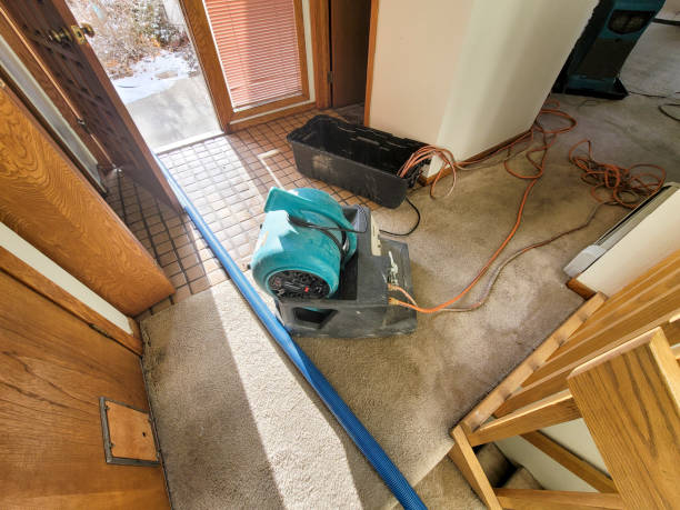 Sewage cleanup and water damage restoration in Crockett, TX