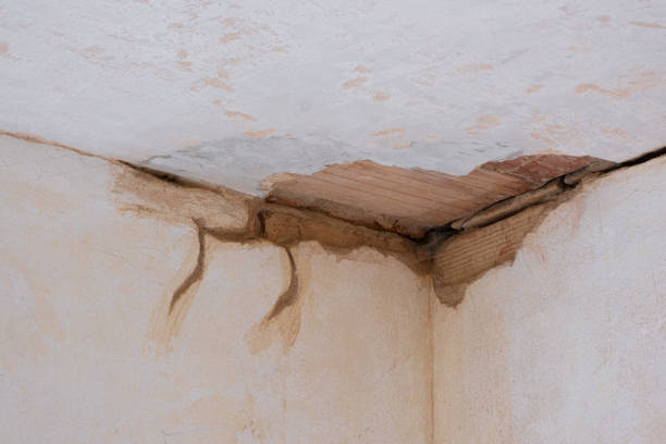 Best Local water damage restoration  in Crockett, TX
