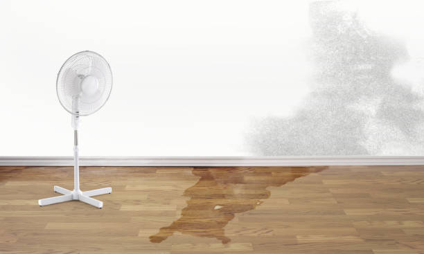 Best Water damage restoration near me  in Crockett, TX