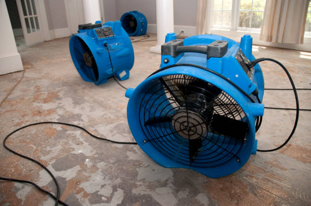 Best Flood damage cleanup  in Crockett, TX