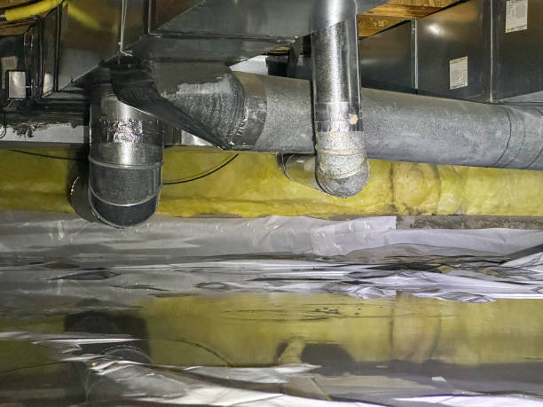 Best Water damage contractors near me  in Crockett, TX