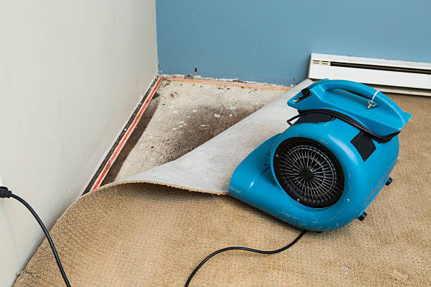 Best Water damage contractors near me  in Crockett, TX